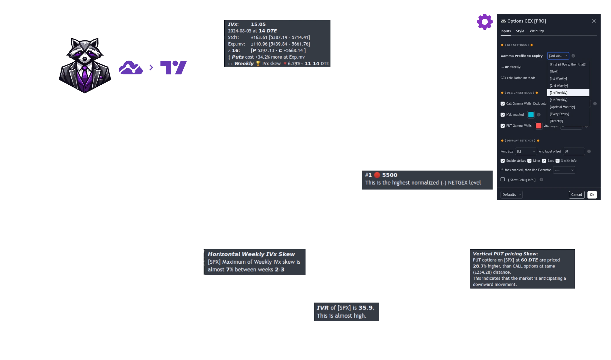 Tanukitrade Options Overlay in action